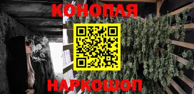 соль ск Славгород