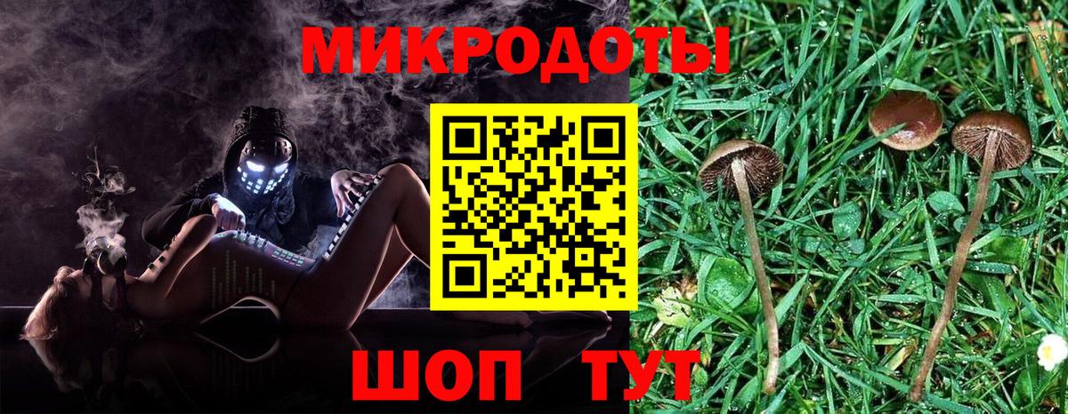 Псилоцибиновые грибы Psilocybine cubensis  Вход с VPN  Обь 